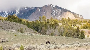 Yellowstone National Park reopens after unprecedented flooding