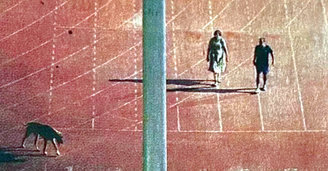 Should the Government have asked for an explanation and held an inquiry first is the question