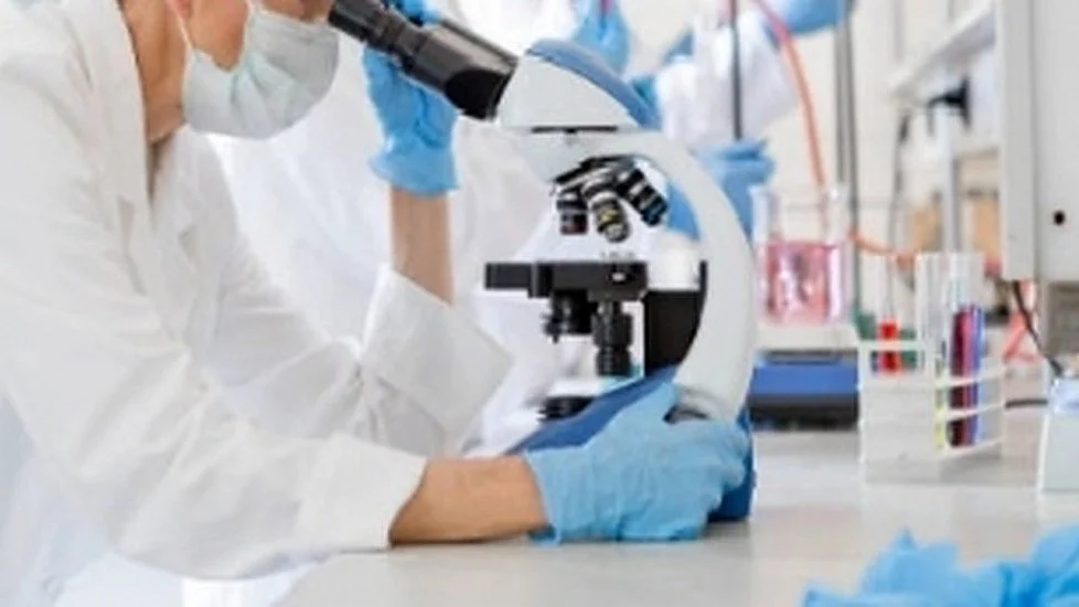 Intensive farming may actually cut future pandemic risk: Scientists