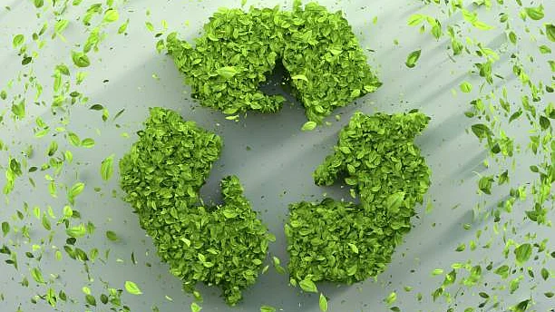 Representative Photo