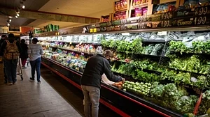 World food commodity prices declined modestly in May: FAO