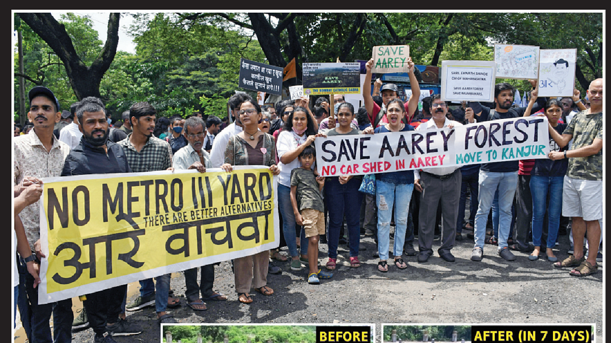 Fadnavis Govt planned commercial activities in Aarey forest in Mumbai