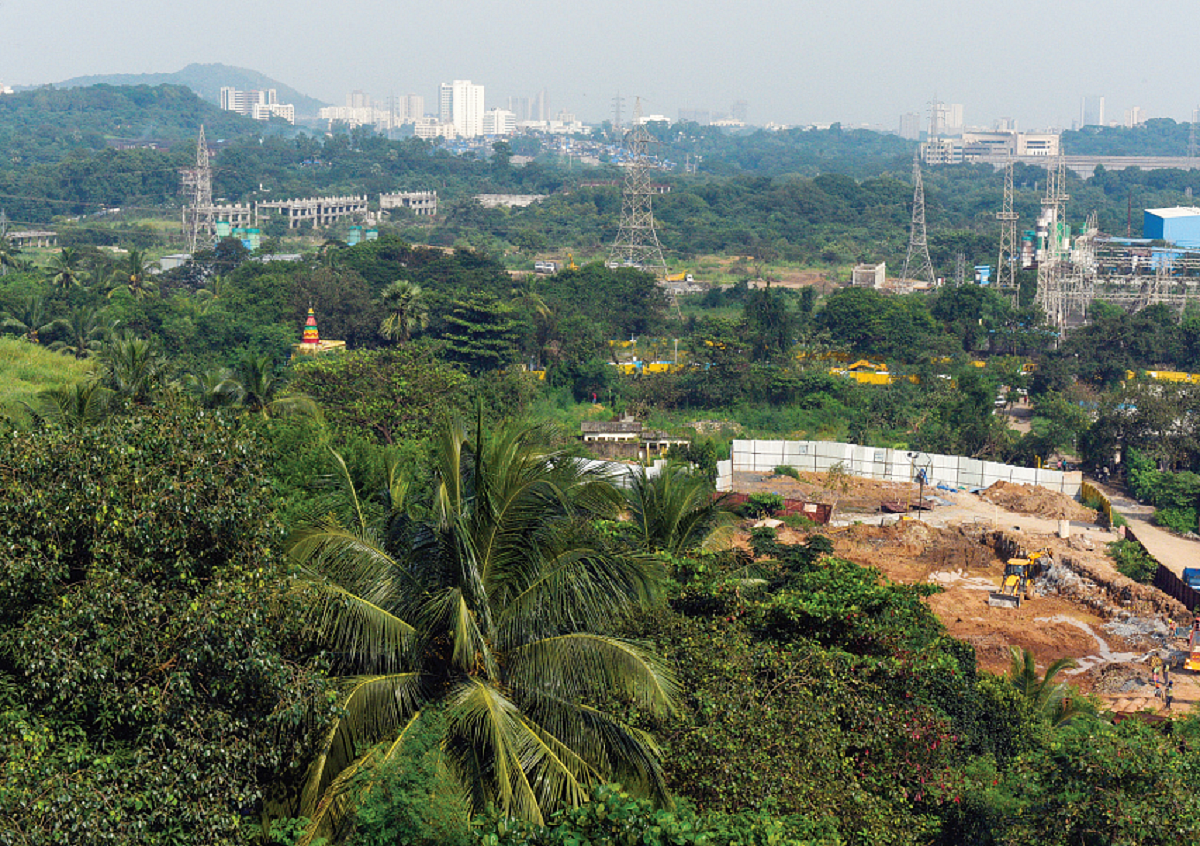 Maharashtra: Fadnavis gets back at Aarey with a vengenace