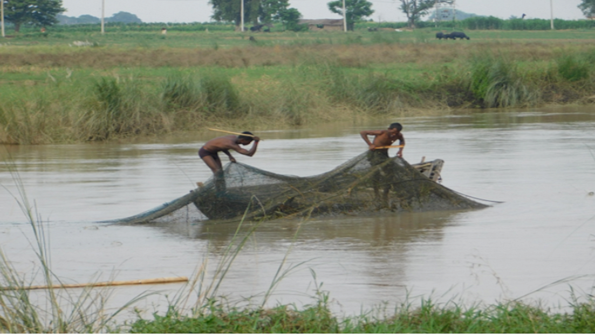 Five more wetlands get Ramsar recognition but India's wetlands are still in trouble