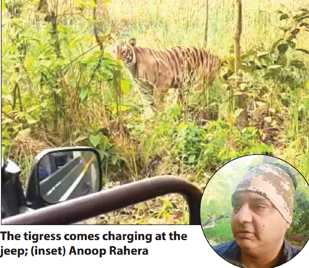 Planning to be a wildlife photographer? Never disrespect the jungle