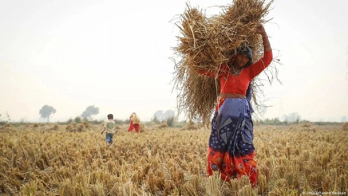 Representative image (DW Photo)