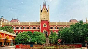 Society should be sensitive about people with different sexual orientation: Calcutta HC