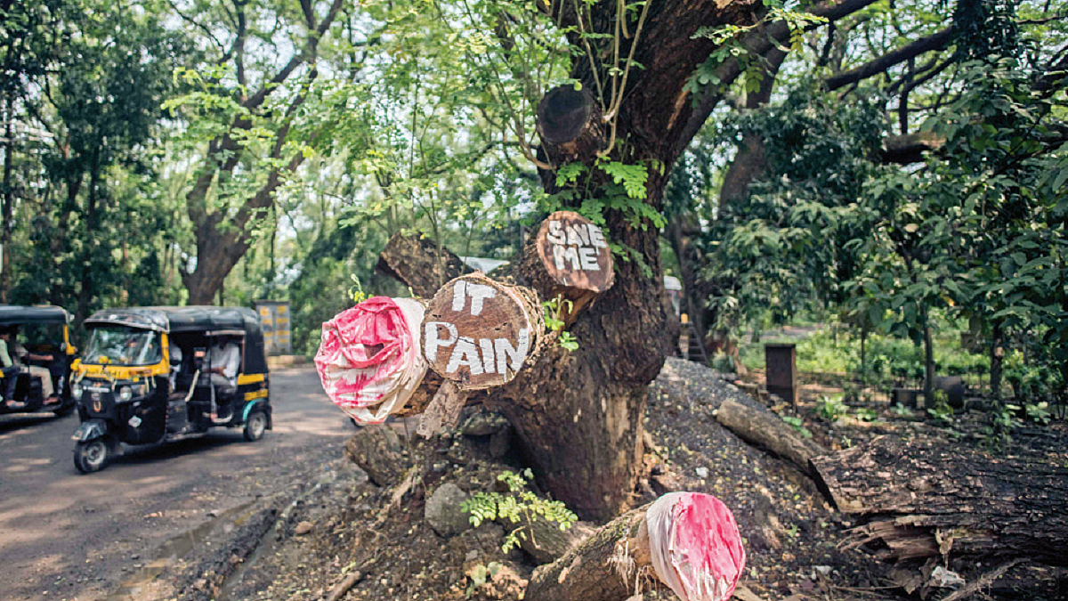 Aarey undoubtedly is a forest and CM Eknath Shinde an ‘honest’ man