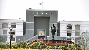 Gujarat HC issues notice to Centre over pvt zoo permissions in Jamnagar