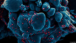 Antibodies that may lead to next-gen vaccines for all Covid strains found