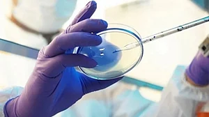 New Langya virus in China infects 35 people, can impair liver & kidney