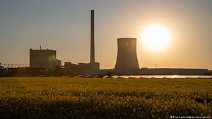 NTPC to mix bamboo and coal in Solapur thermal plant for clean energy