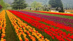 Mainly clear weather likely in J&K