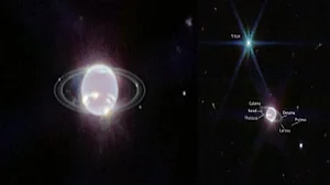 James Webb Space telescope captures striking view of Neptune's rings