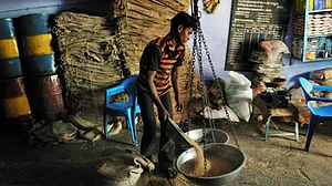 Govt extends free ration scheme for poor by 3 months