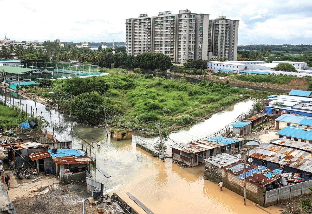 Book Extract: Rescuing our endangered landscapes