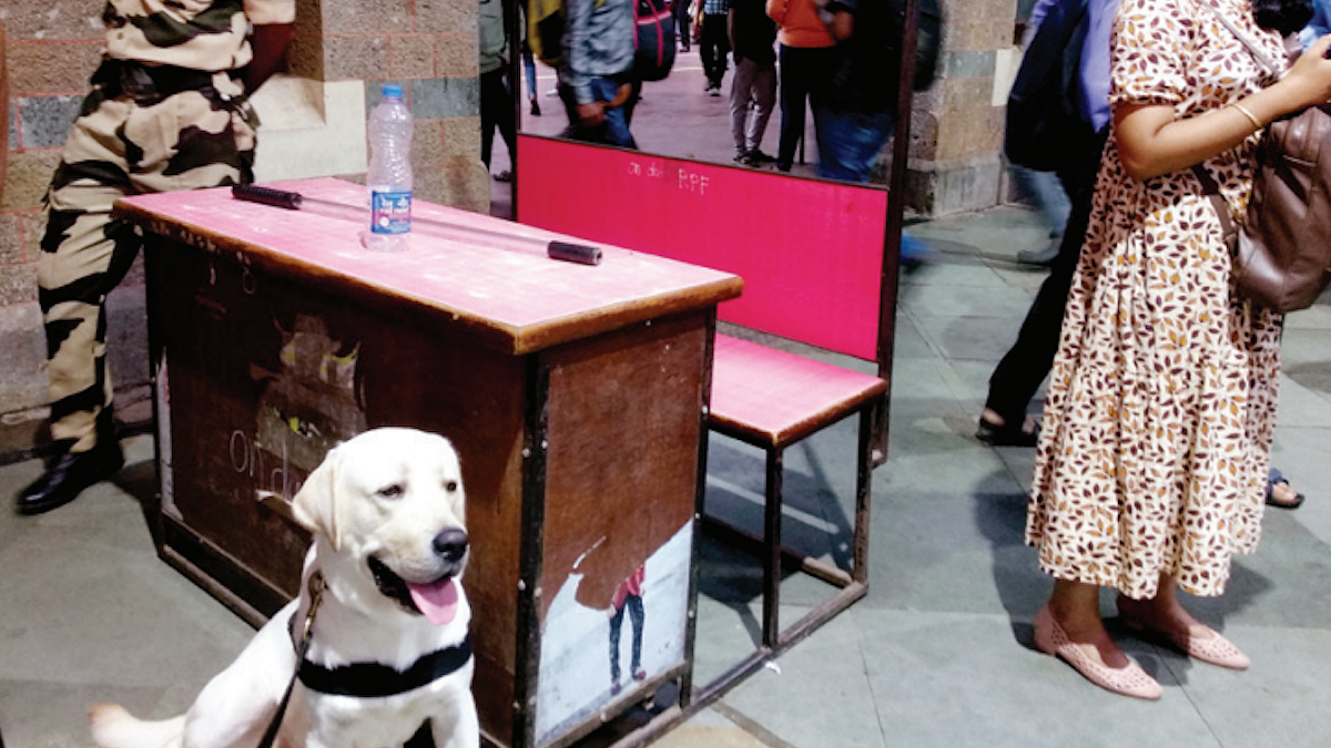 Thank the dogs for keeping you safe and moving