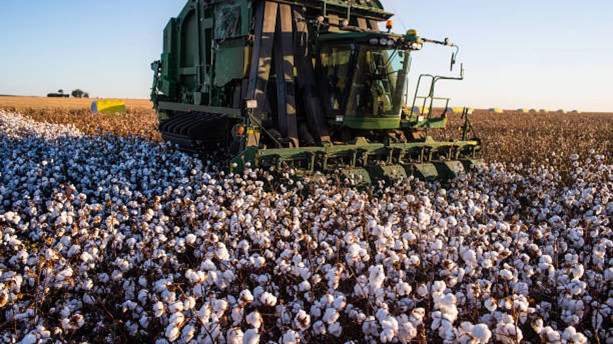 Representative (Getty images)