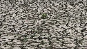 Warming may lead to more frequent, longer-lasting droughts in India: Study