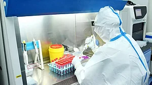 New COVID-like virus found in bats could infect humans, resist vaccines: Study