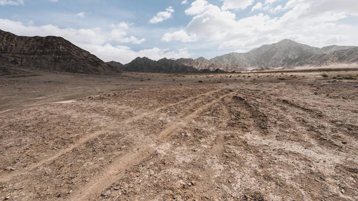 Representative photo (Getty images)
