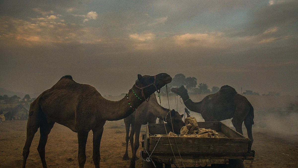 Representative (IANS Photo)