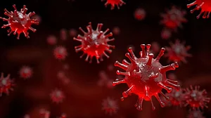 New highly-mutated Covid variant has put researchers on high alert