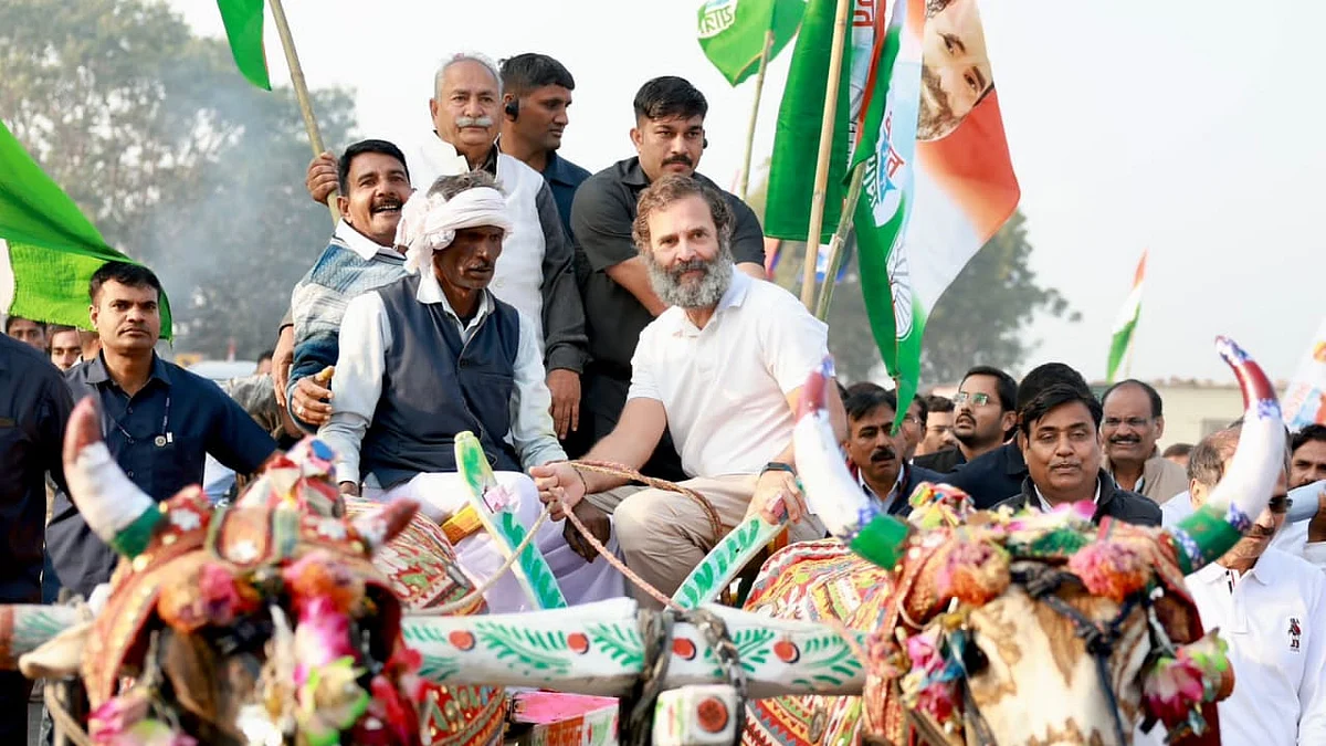 Bharat Jodo Yatra: Rahul interacts with people, takes bullock cart ride in Rajasthan's Bundi