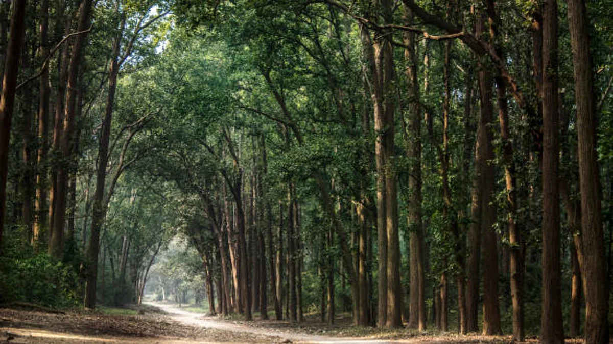 Getty Images (Representative Image)