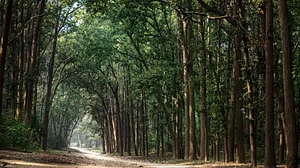 J'khand CM writes to PM, raises objections to new forest rules