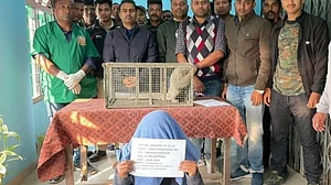 Trinamool Congress leader arrested for attempting pangolin smuggling