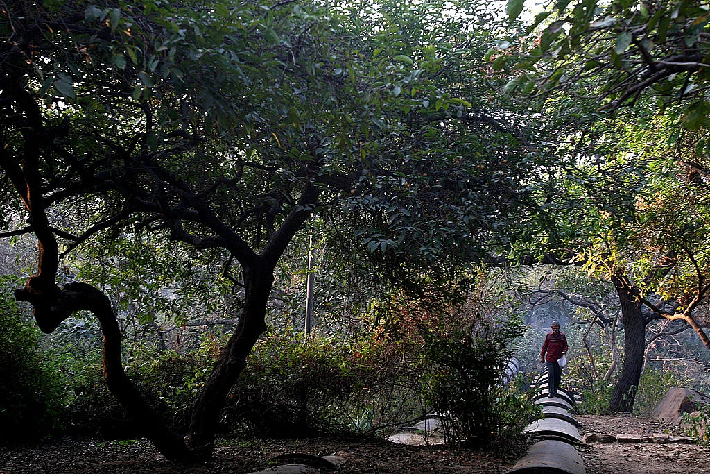 Official apathy, collusion thwart court orders to preserve Delhi ridge, being lost to human avarice