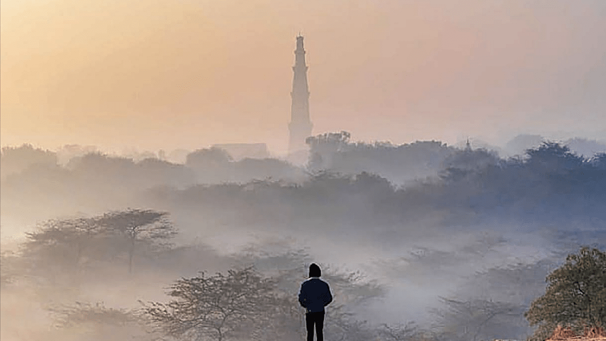The Aravalli mountains are turning to dust as trees and vegetation are cleared and stones crushed to make concrete