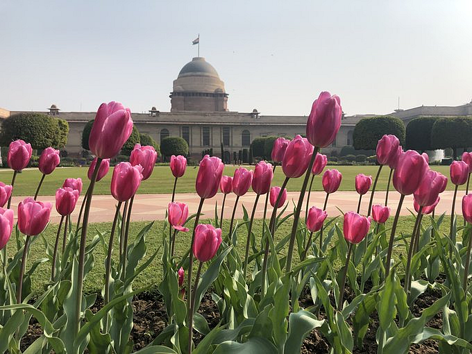 Rashtrapati Bhavan's Mughal Gardens renamed 'Amrit Udyan', to open for public from January 31