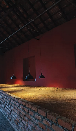 Amol K. Patil’s ‘The
Politics of Skin and Movement’