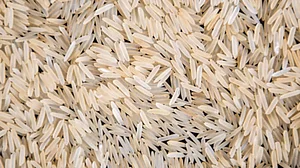 Lower allocations this year can make the food and nutrition situation difficult for the poor