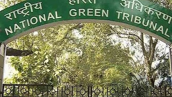 Regulating groundwater for cricket playgrounds: NGT seeks status report from MoJS