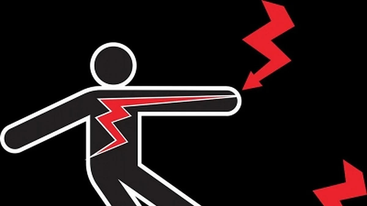 Maharashtra: 2 electrocuted, 4 injured after Ambedkar Jayanti procession in Palghar