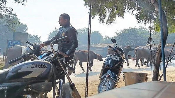 The image shows a few bikes and cows in the background (Photo: Akhil Katyal)