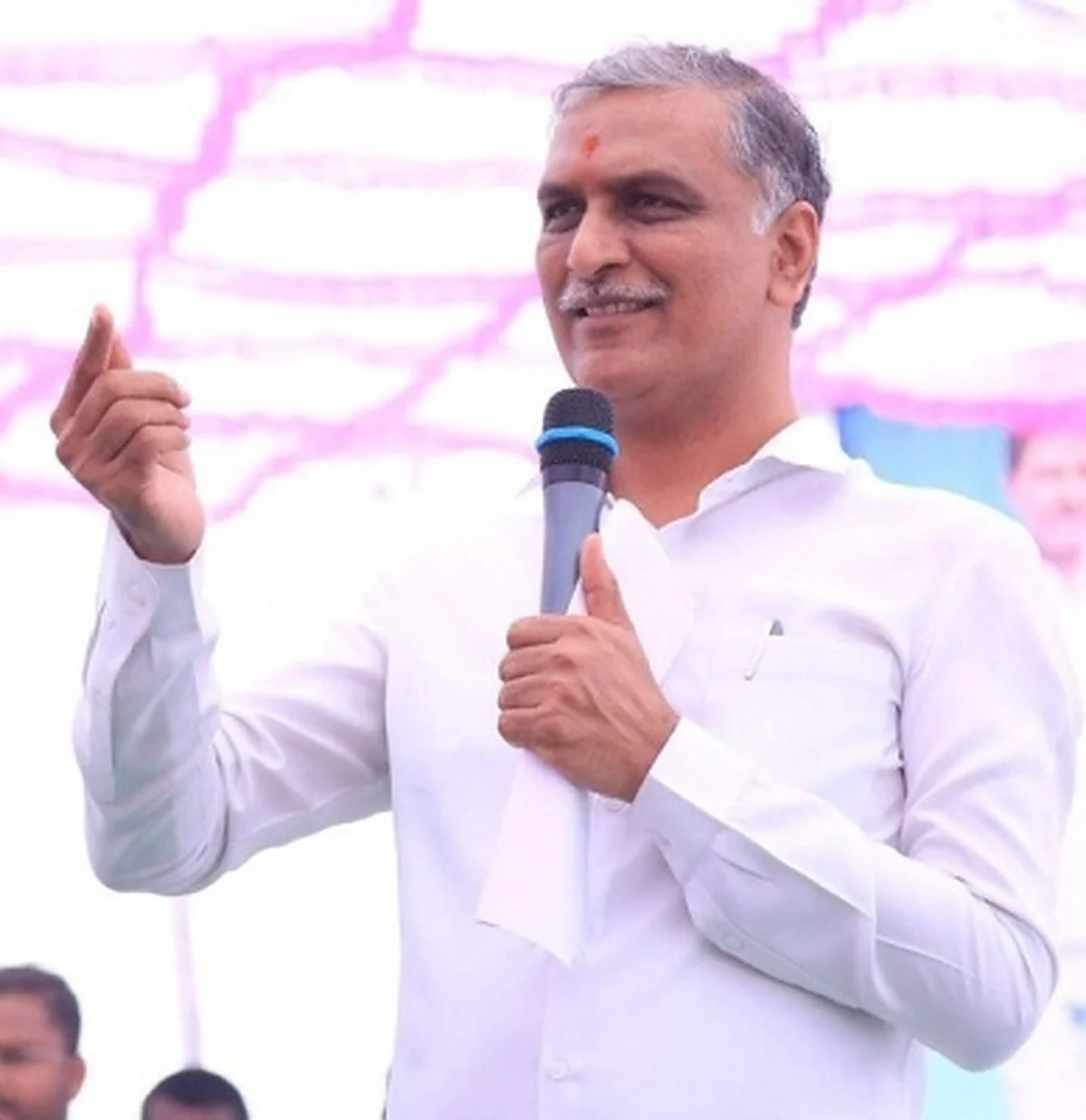 Telangana finance minister T. Harish Rao