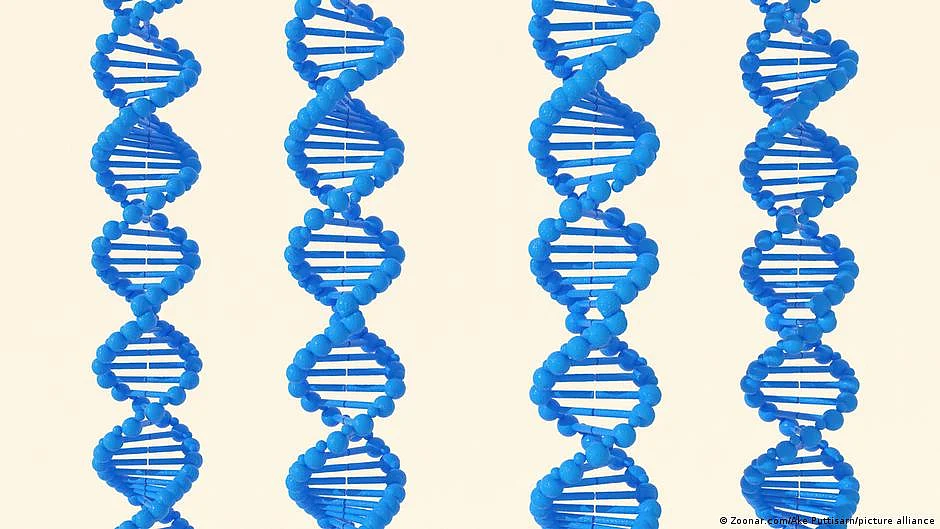 The human genome: The most important map ever produced