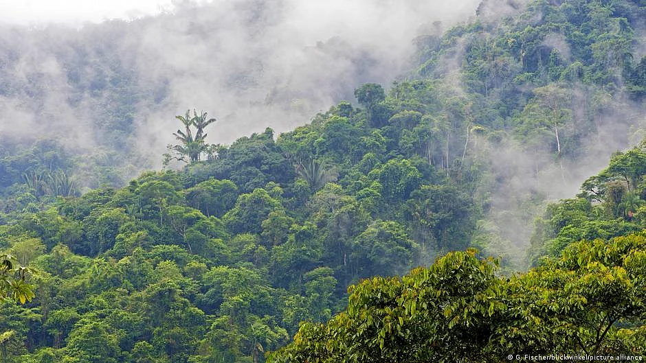 Human activities are altering water flows, excessive amounts of nutrients are released into waterways from fertiliser use, and limited natural areas are left. (Photo: NH File Photo)