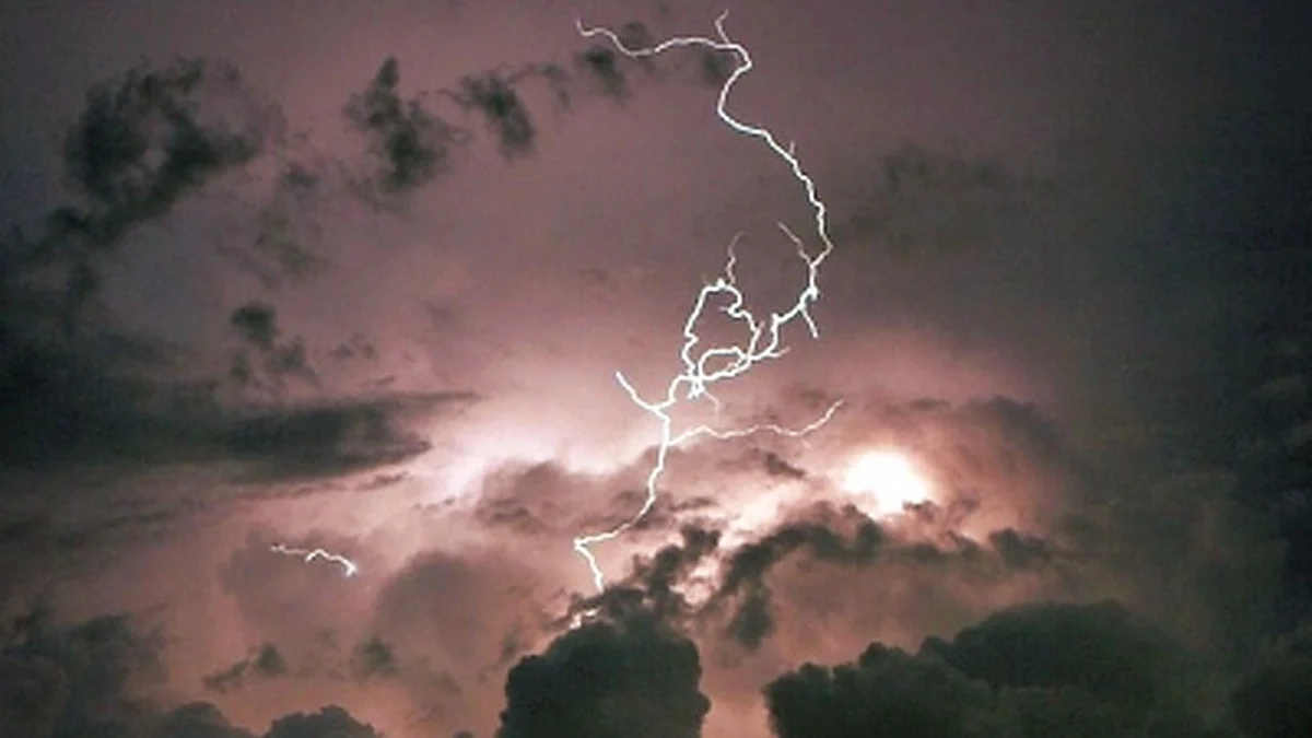 Maha: Lightning bolts, drowning claim 14 lives in 48 hours