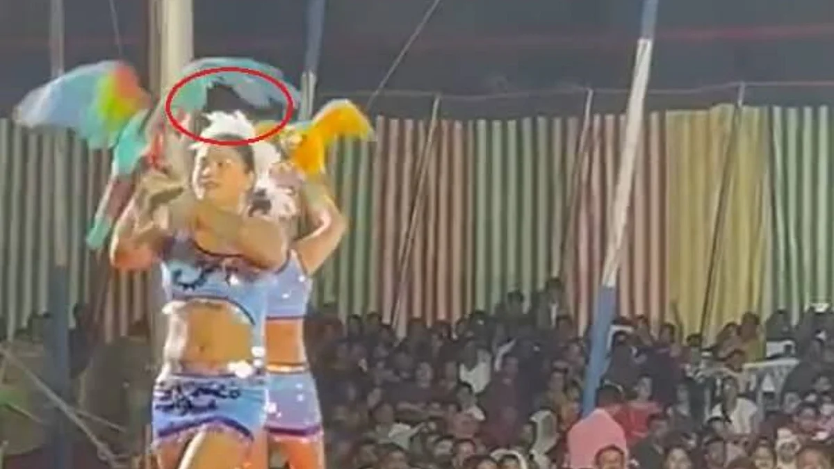 Great Bombay Circus has allegedly been forcing bird to do tricks that were not registered with the Animal Welfare Board of India. (Source: PETA India)