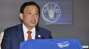 Public investment in agri-food systems up 22% in 2022: FAO report