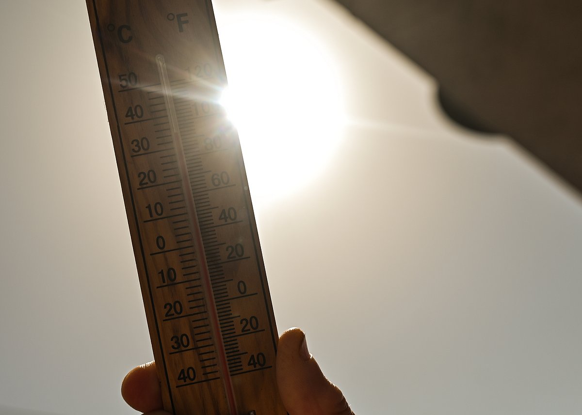 No heat wave at Delhi's primary weather station for first time since 2014, IMD officials say