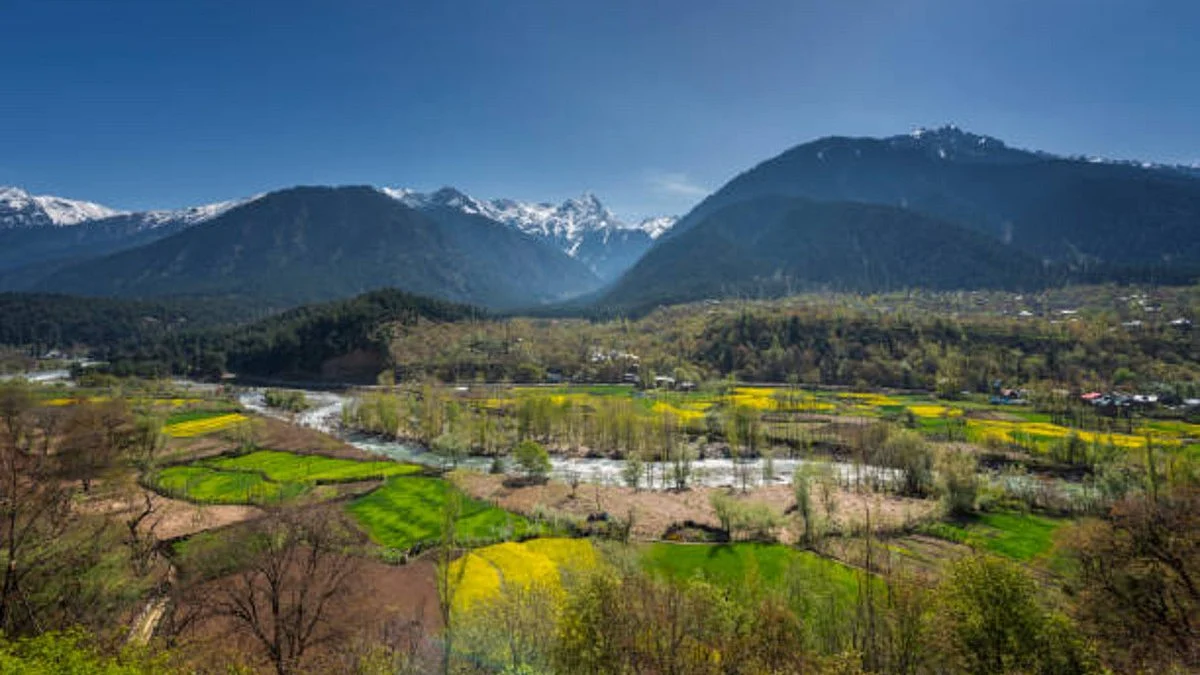 Landscape view of rice field with village and snow mountain at Pahalgam Kashmir (Getty Images)