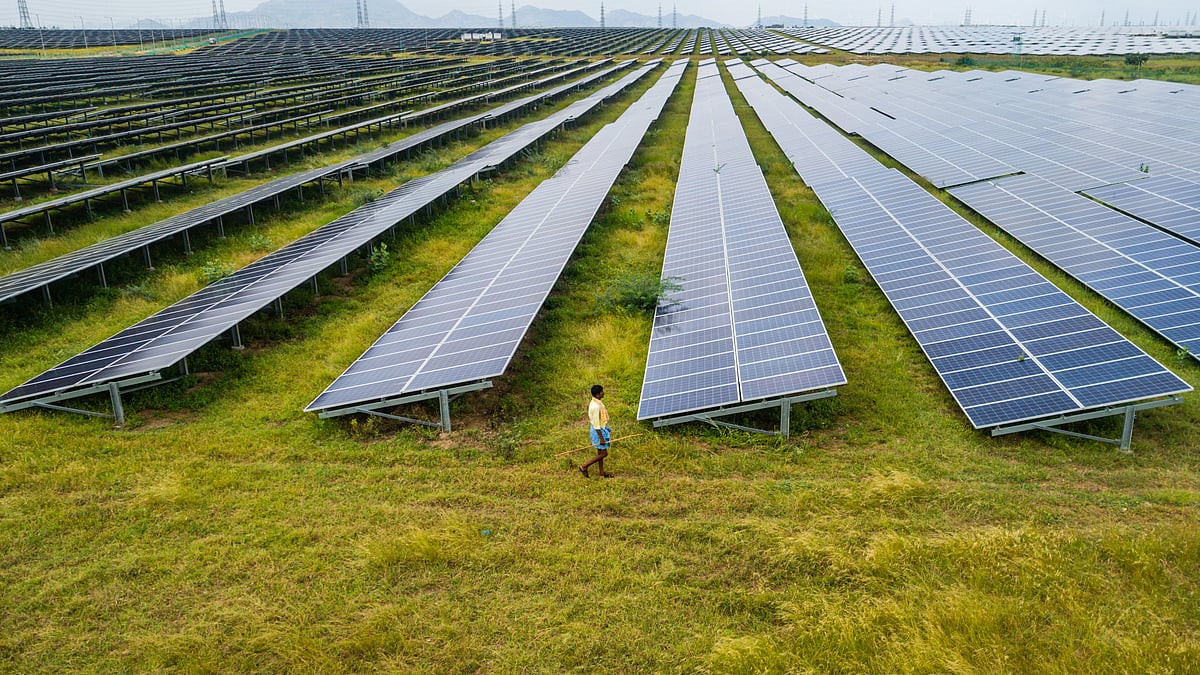 An aerial view shows photovoltaic cell solar panels (Photo: Getty Images)