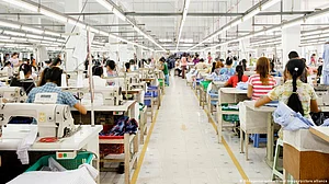 EU due diligence rules to test trade ties with ASEAN