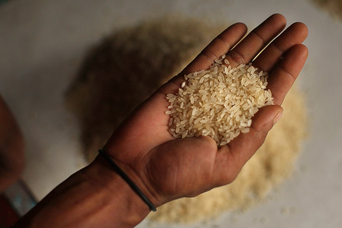 A handful of rice grains  (photo Getty Images)